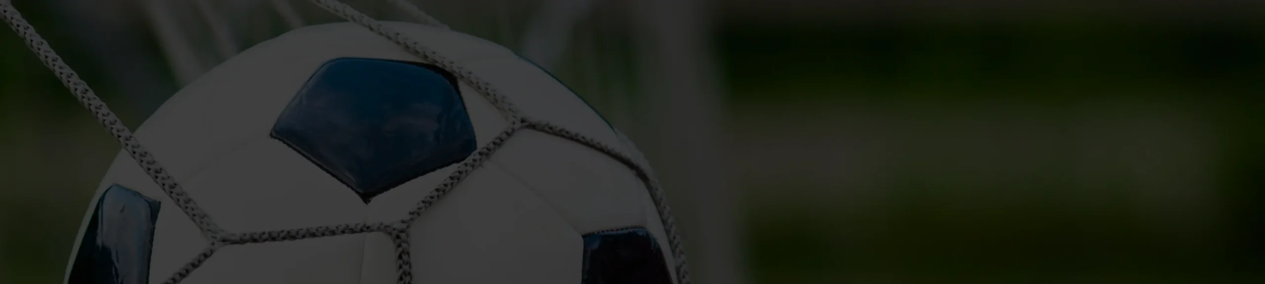 Revisión de las Casas de Apuestas Revisión de las Casas de Apuestas